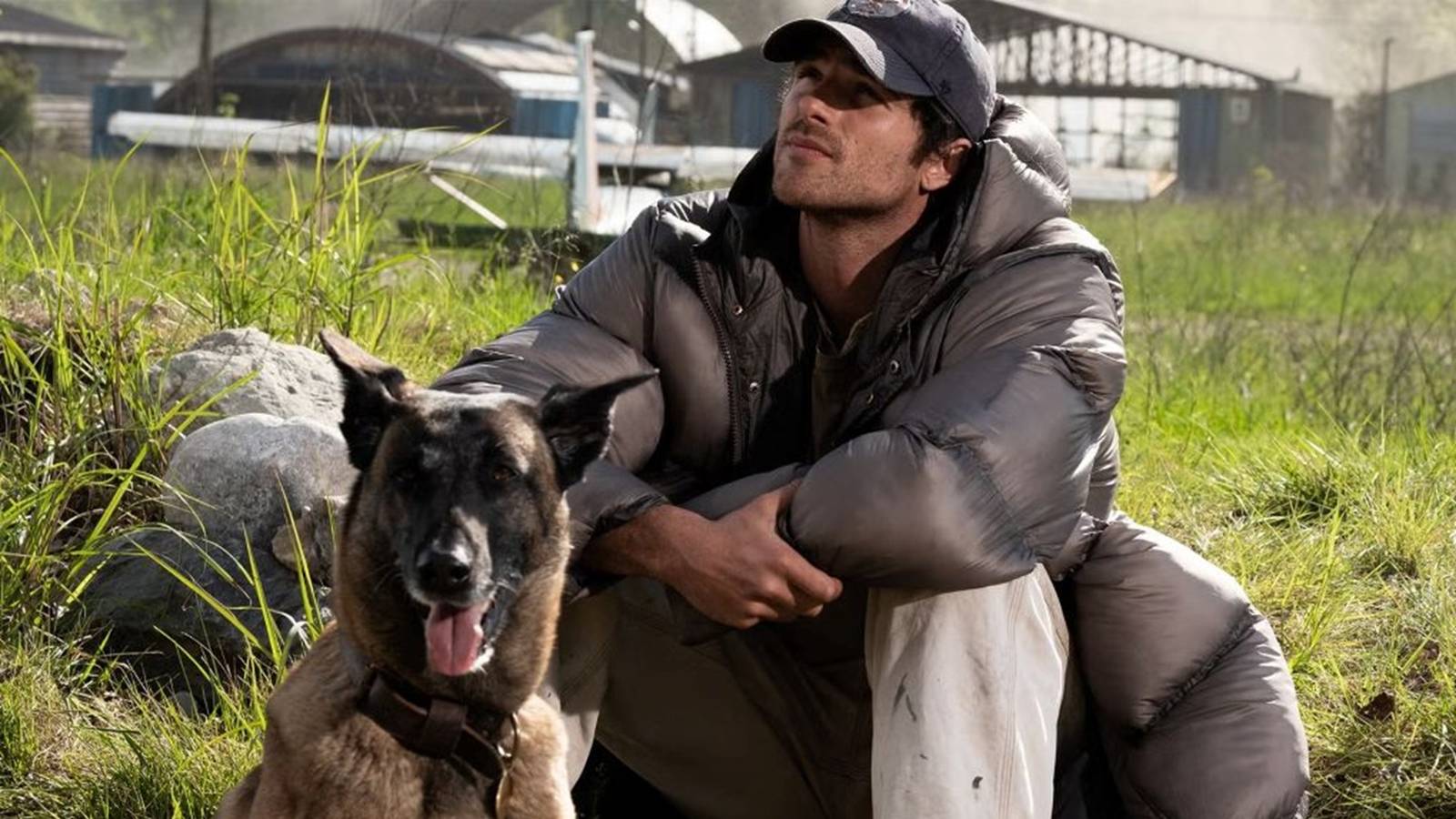 Ridley Scott's 'The Dog Stars' Debuts Official Rotten Tomatoes Score - MovieWeb image