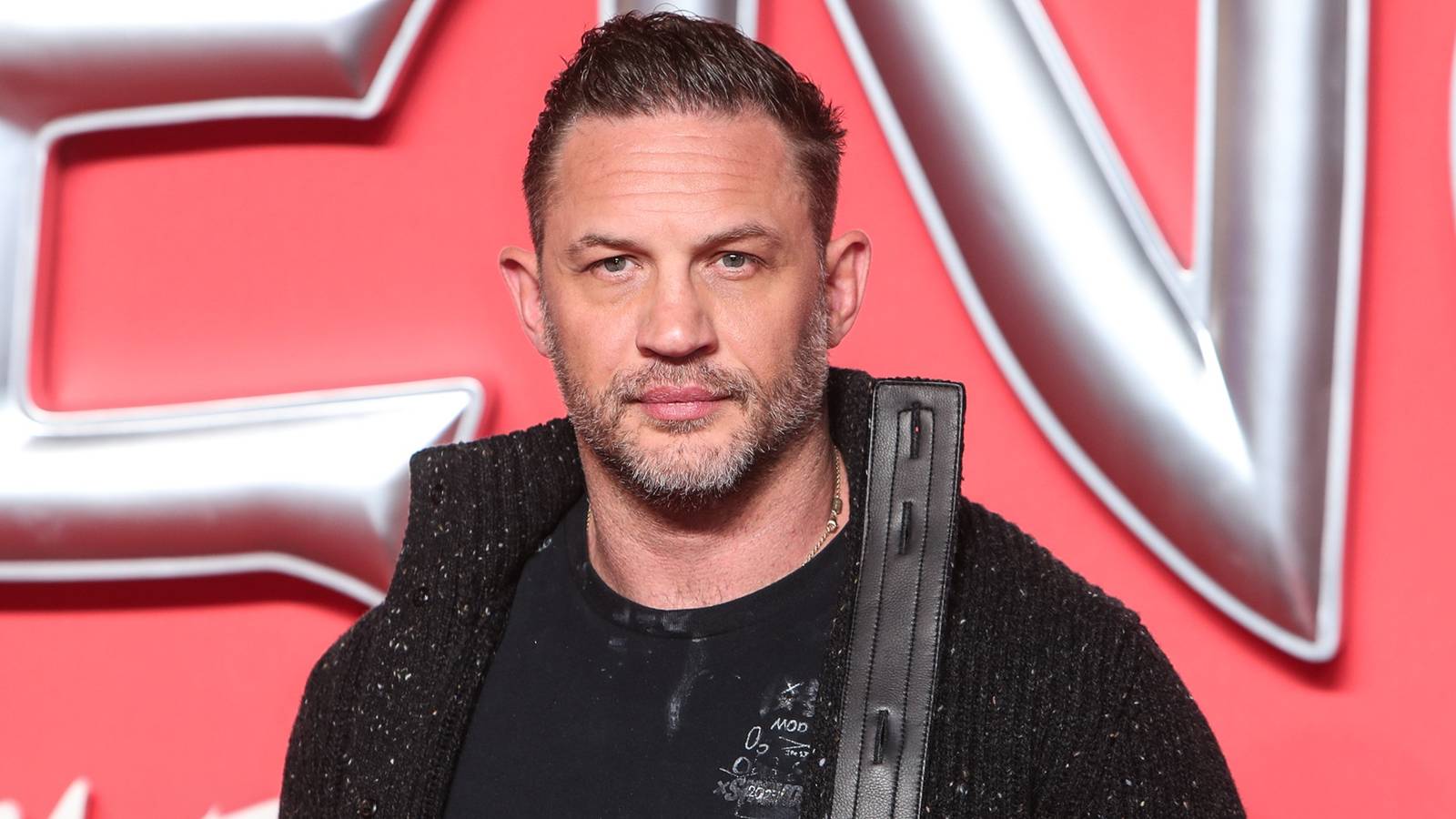 Every Tom Hardy TV Series, Ranked