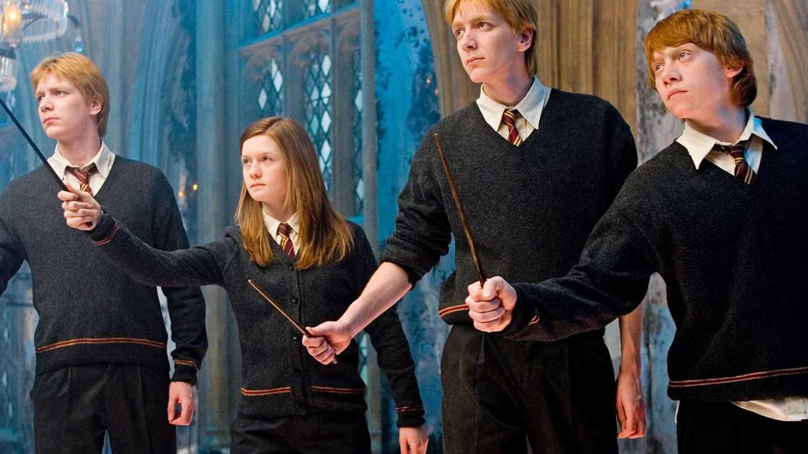 The Weasley family in Harry Potter