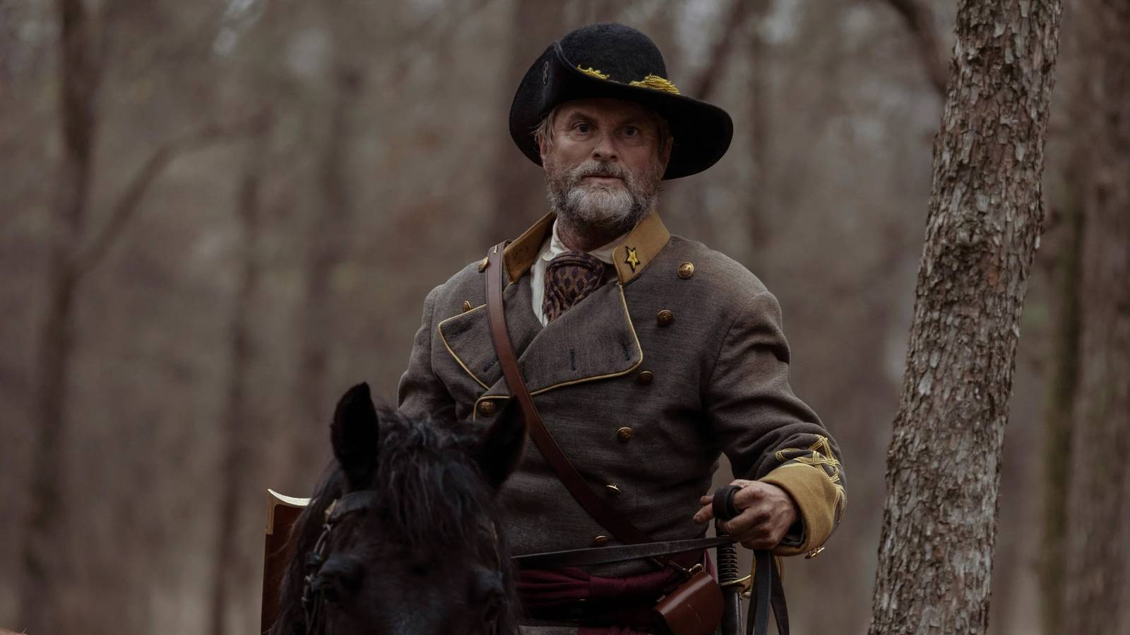 Netflix Finds New Global Hit With Taylor Sheridan's Overlooked 93% Rated Western Series