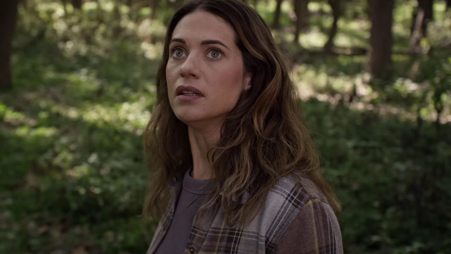 'Jurassic Park' Meets 'Arachnophobia' in Trailer for New Thriller