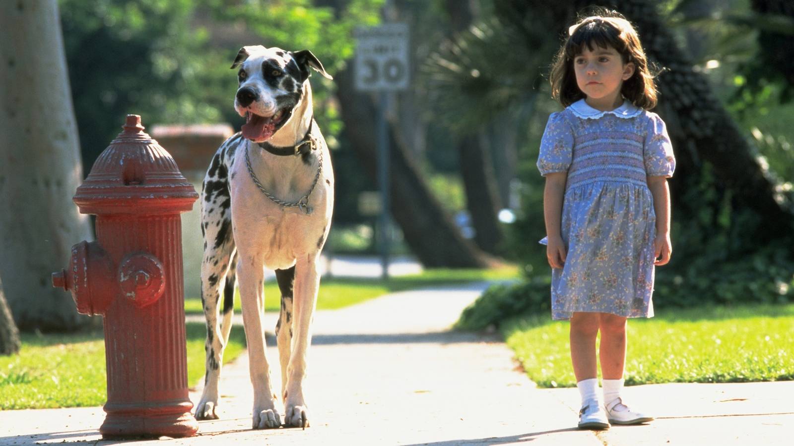 30 Years Later, Sequel to Fantasy Family Favorite Still 