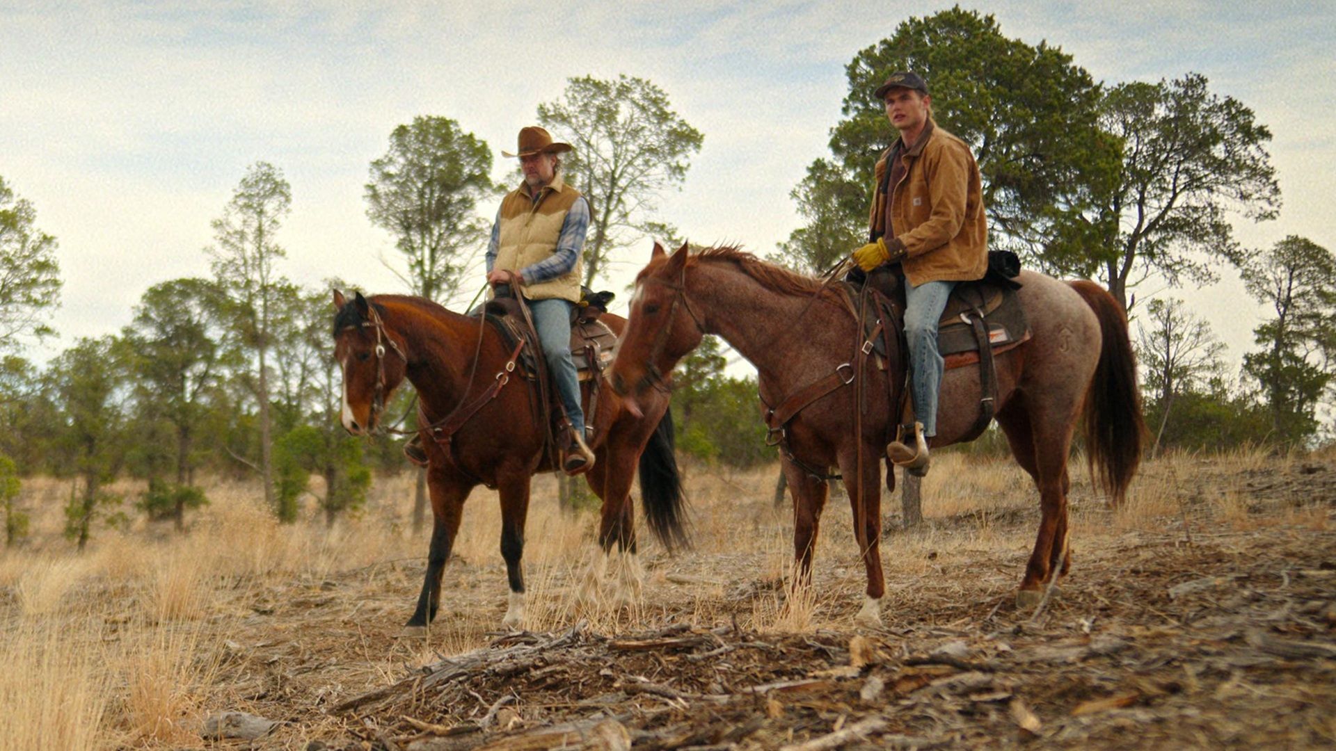 Ransom Canyon: Netflix's Growing Western Hit Against Yellowstone series cover image