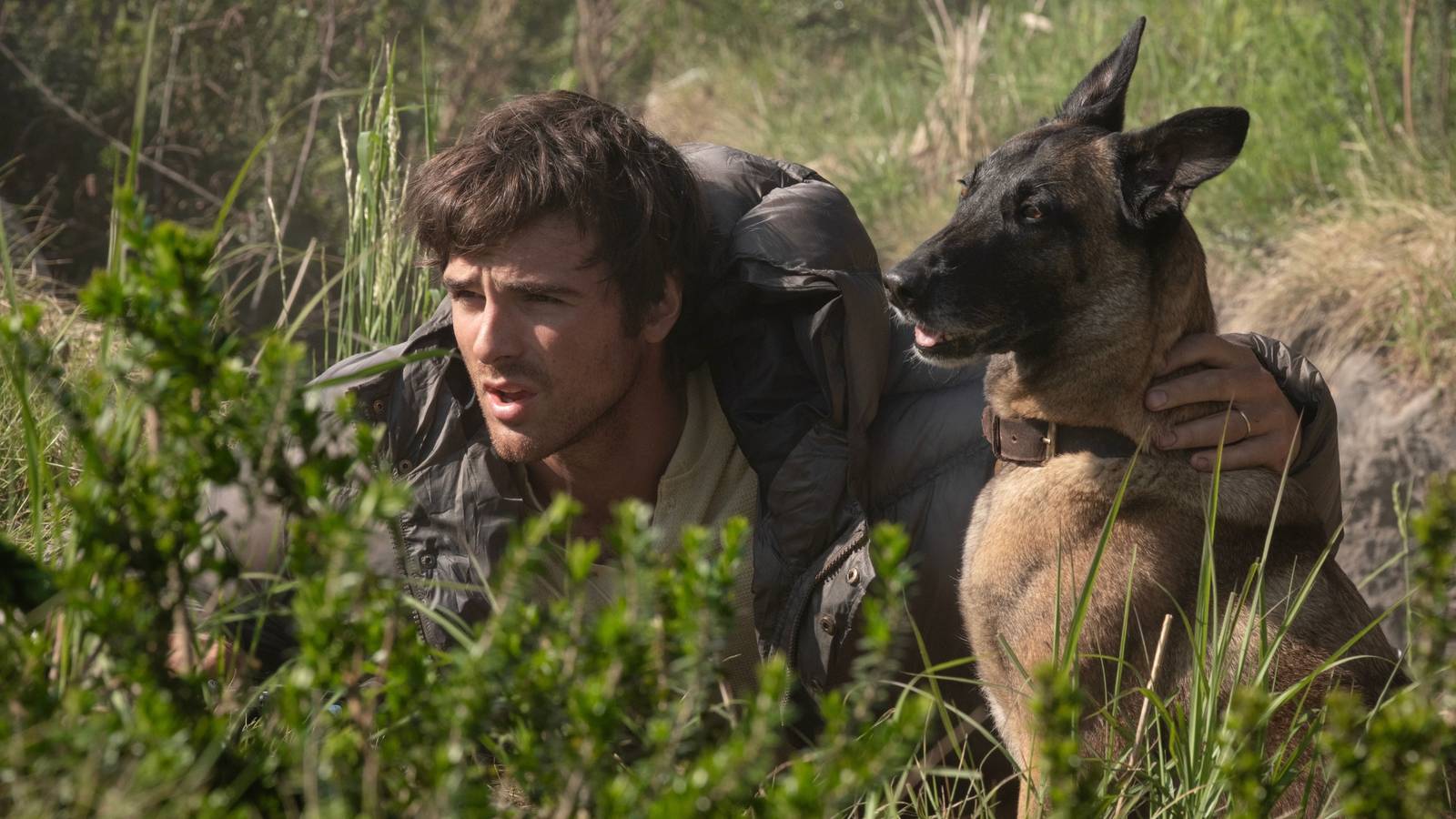 'The Dog Stars' Ending & Hig's Fate, Explained