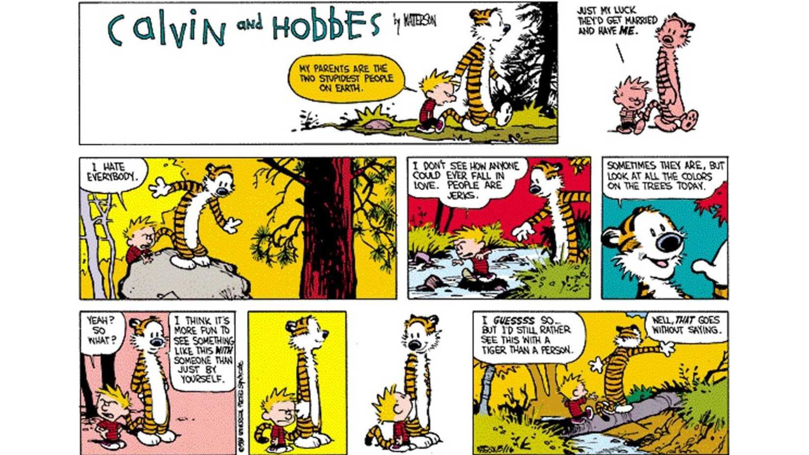 Greatest Calvin and Hobbes Comic Strips