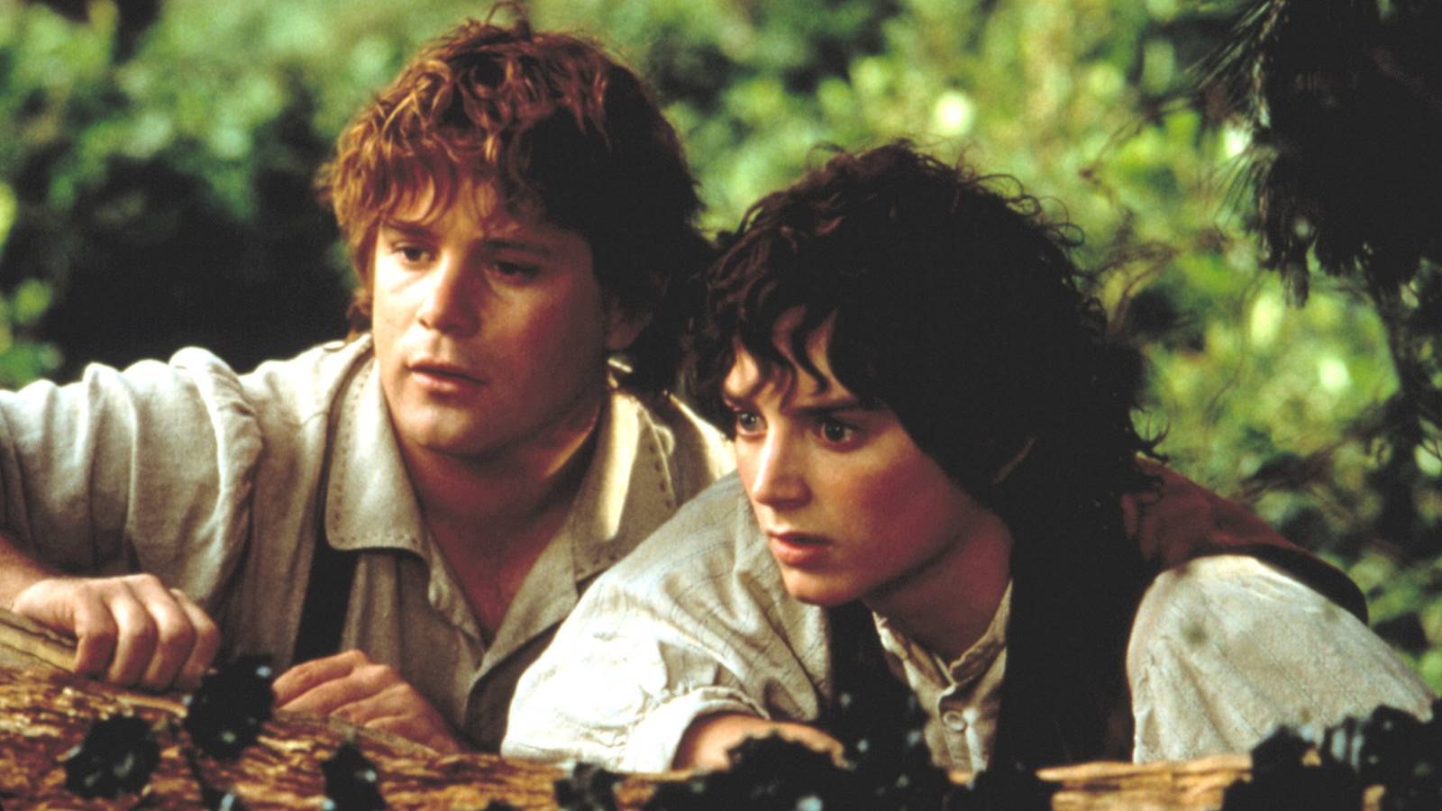 Frodo's Best 'Lord of the Rings' Line Is Still the Most Inspiring Quote in Fantasy