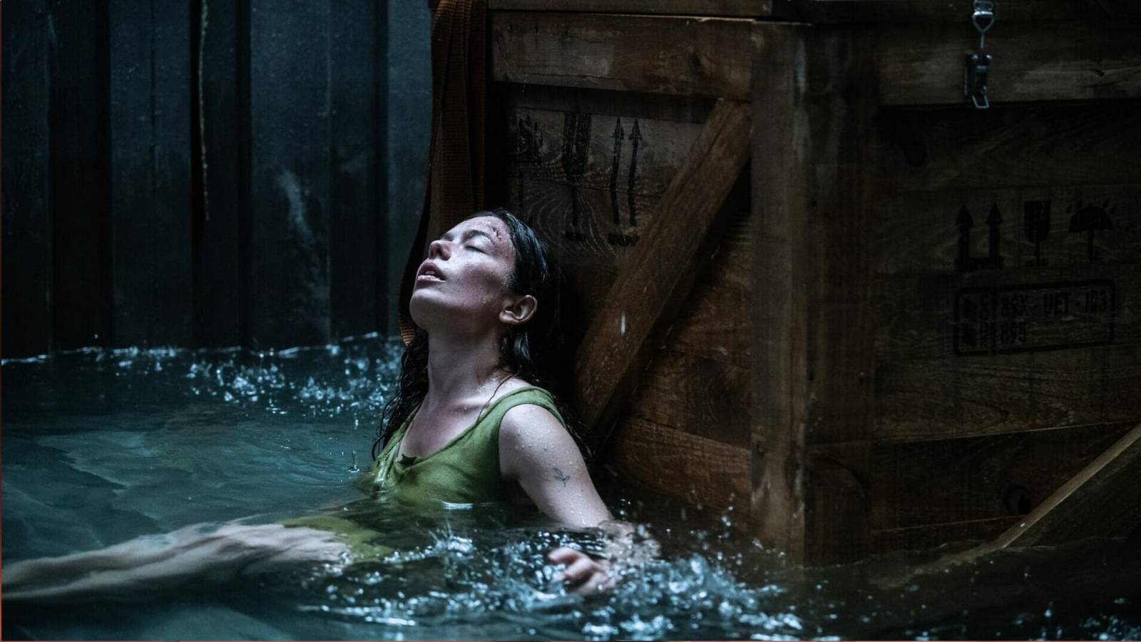 10 Survival-Thriller wie Netflix’ „Nowhere“, die man sich als Nächstes ...
