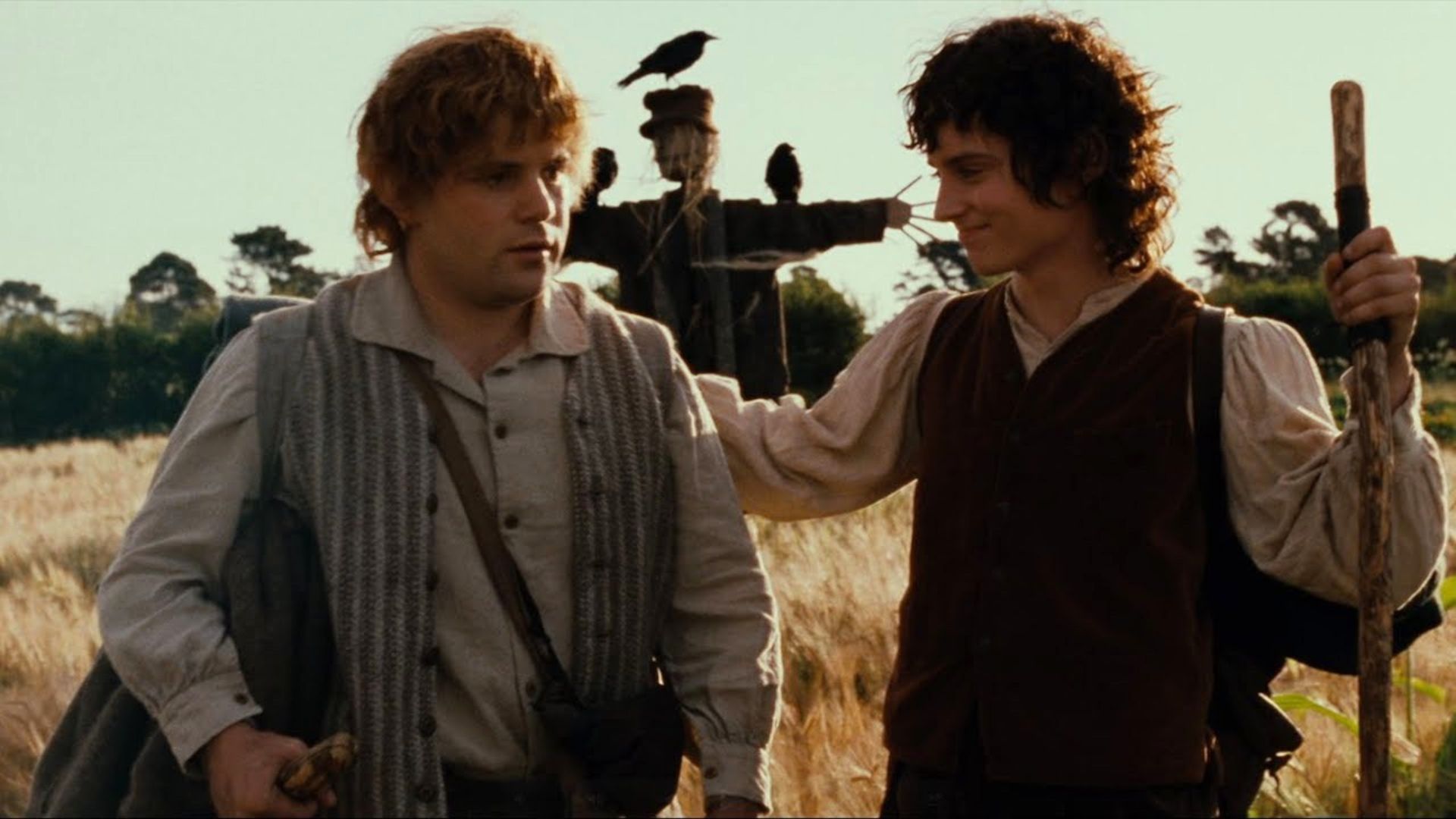 25 Years Later, Frodo's Greatest 'Lord of the Rings' Quote Is Still the ...