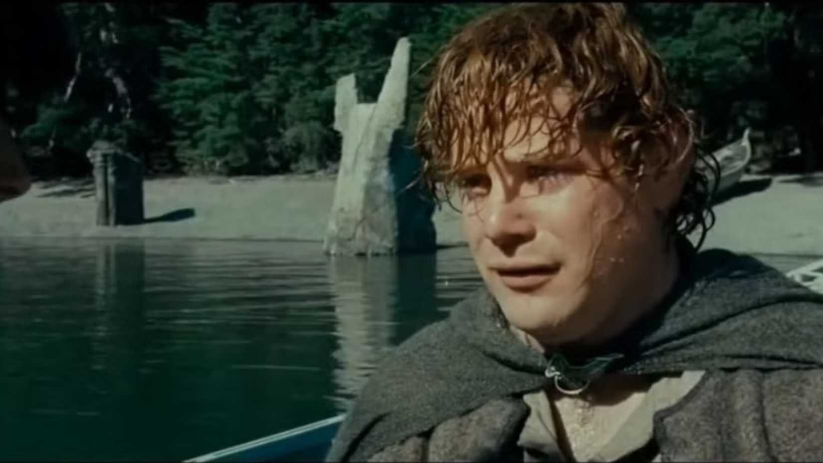 Sam at the end of The Fellowship of the Ring
