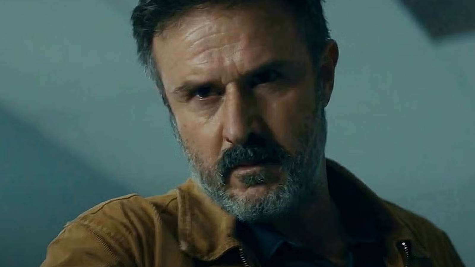 David Arquette Still 