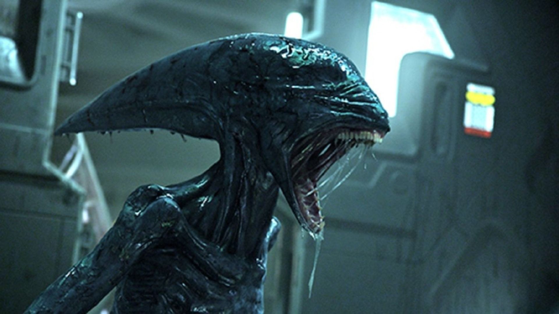 New 'Alien' Movie Gets Official Status Update Ahead of Ridley Scott's ...