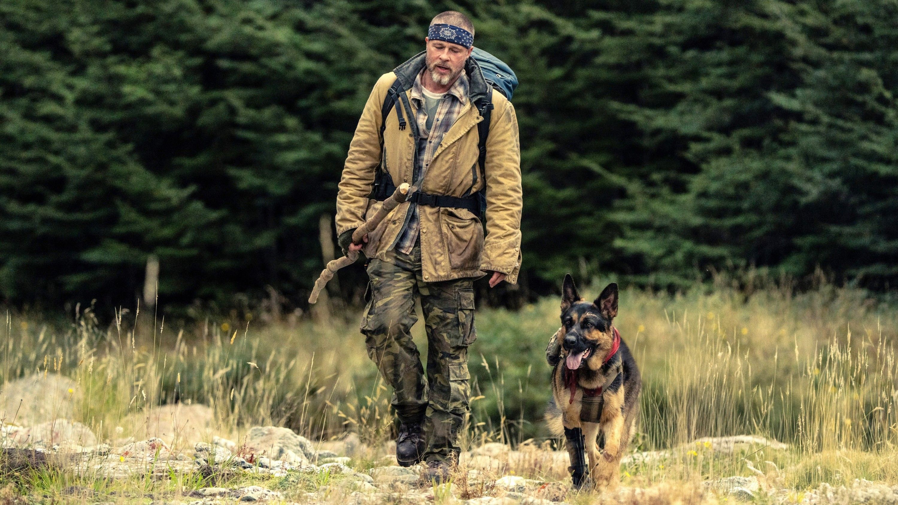 Brad Pitt As James Belmont And His Dog Odin Walking Through A Forest Clearing In Heart of the Beast