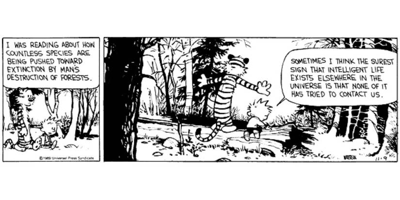 'Calvin and Hobbes' by Bill Watterson
