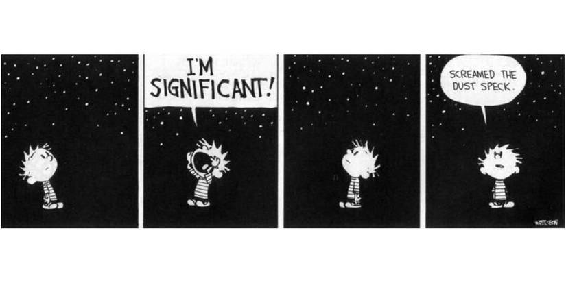 'Calvin and Hobbes' by Bill Watterson