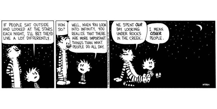 'Calvin and Hobbes' by Bill Watterson