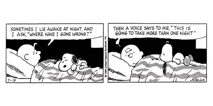 charlie-brown-peanuts-comic (6)