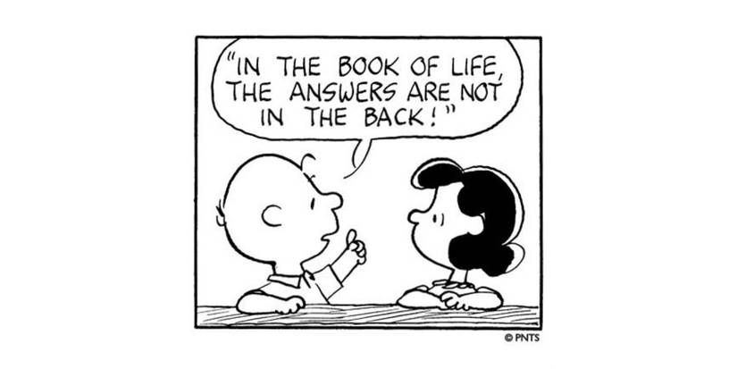 charlie-brown-peanuts-comic (7)
