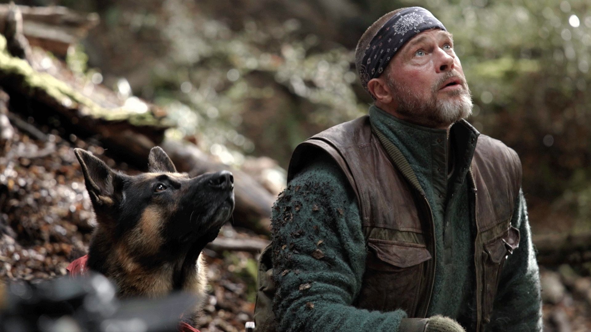 Brad Pitt and Odin in Heart of the Beast