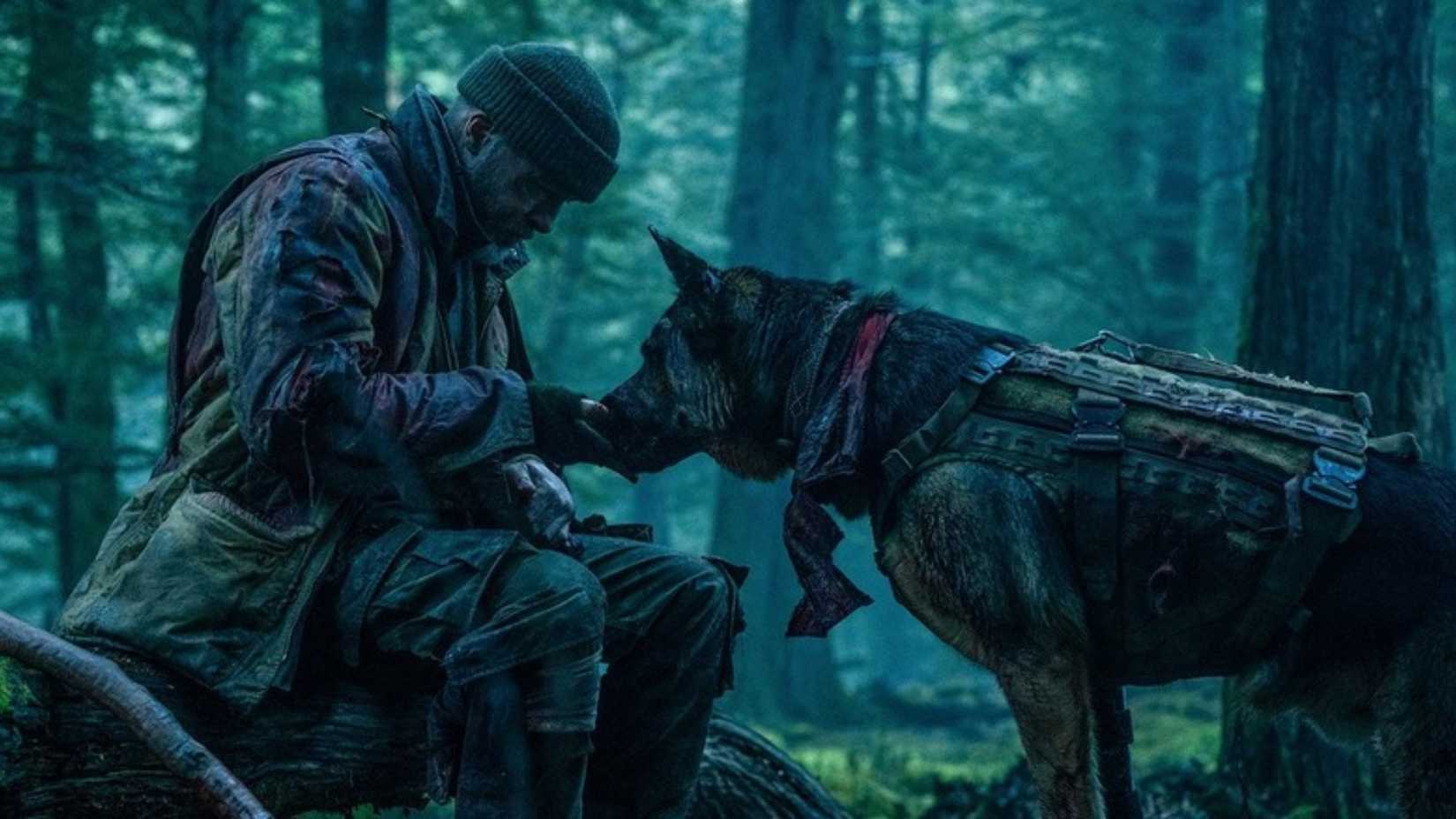 Brad Pitt and Odin in Heart of the Beast