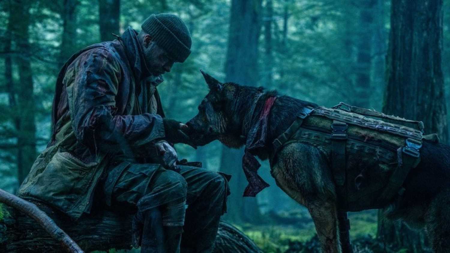 Brad Pitt and Odin in Heart of the Beast