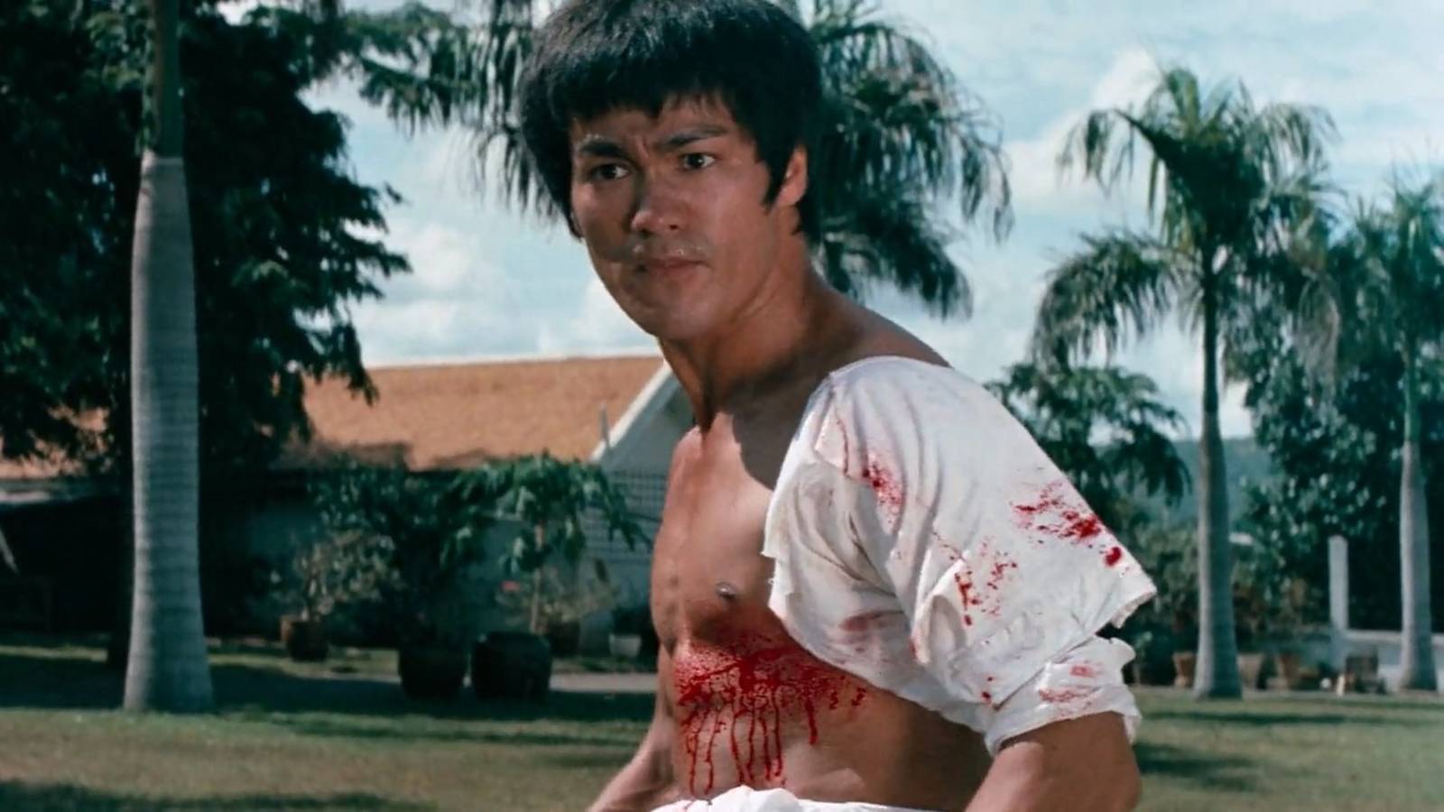 11 Greatest Finishing Moves in Martial Arts Action Movie History