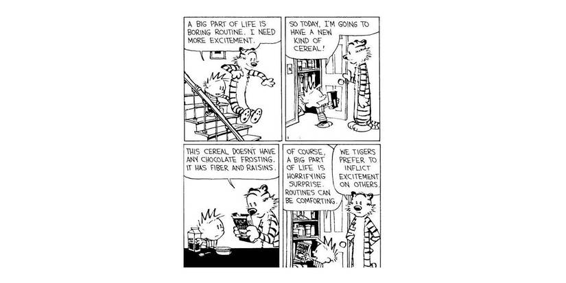 'Calvin and Hobbes' by Bill Watterson