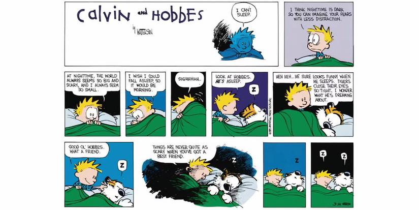 'Calvin and Hobbes' by Bill Watterson