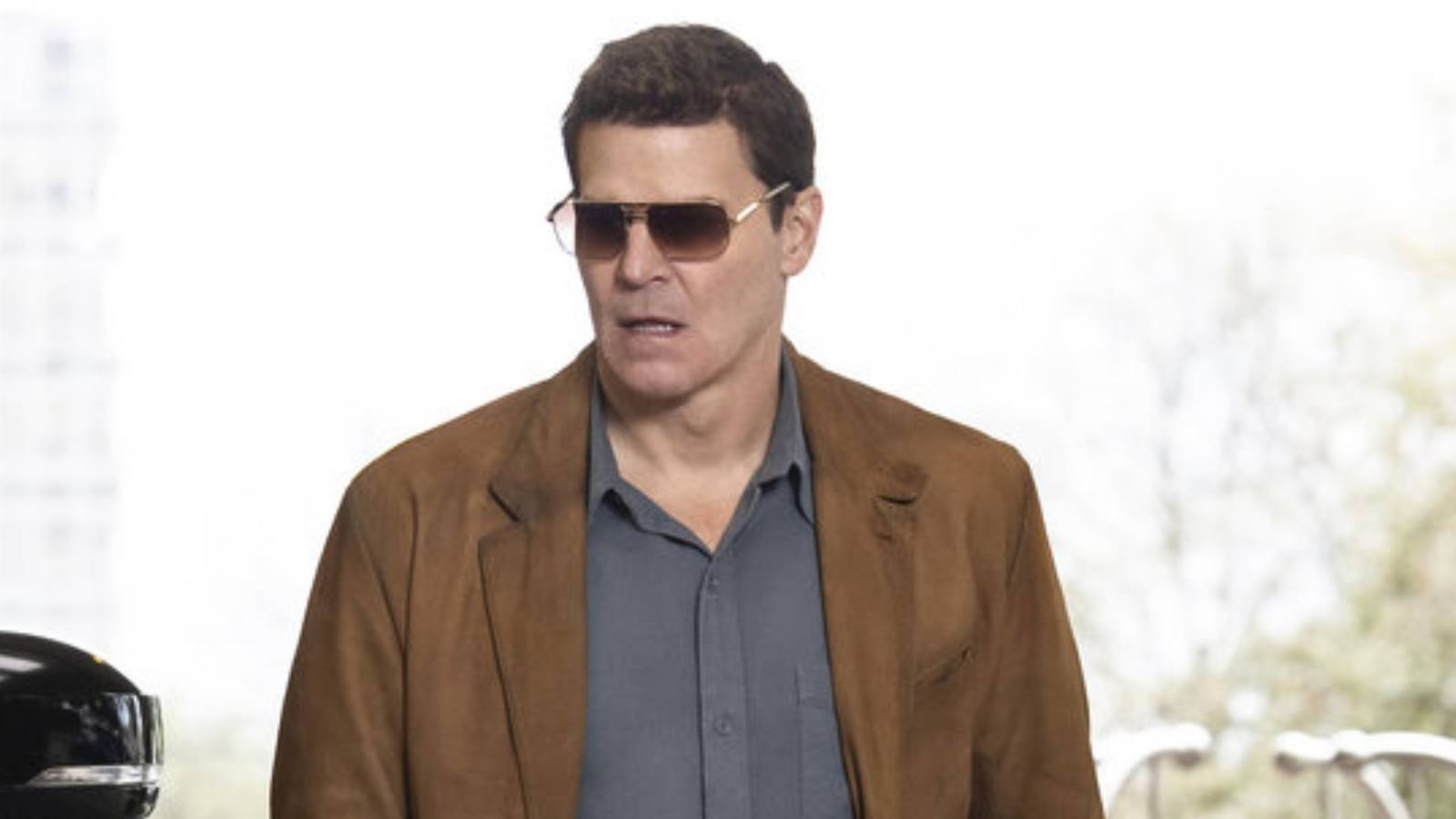 52 Years Later, David Boreanaz Steps Into an Iconic Role in New Look at ...
