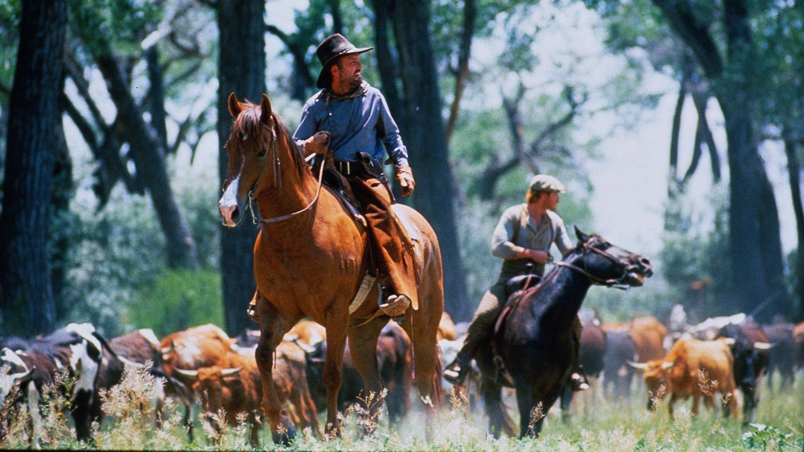 Die beste Western-Miniserie aller Zeiten kehrt offiziell auf Netflix ...