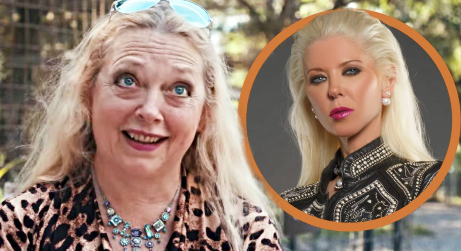 Tara Reid Wanted as Carole Baskin in Tiger King Spinoff Movie