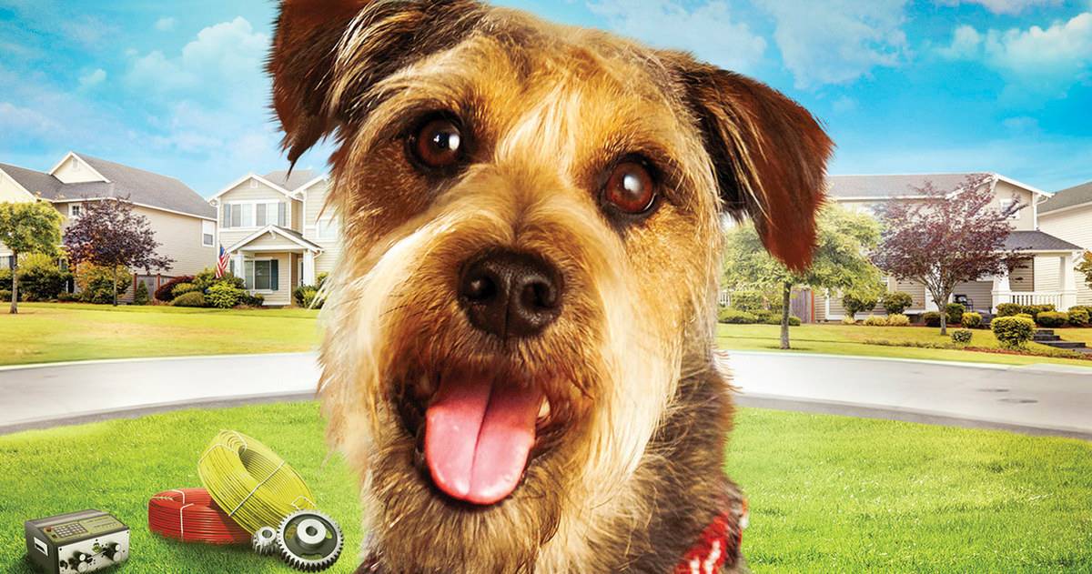 Robo-Dog Preview: Meet the World's Most Amazing Mutt | EXCLUSIVE