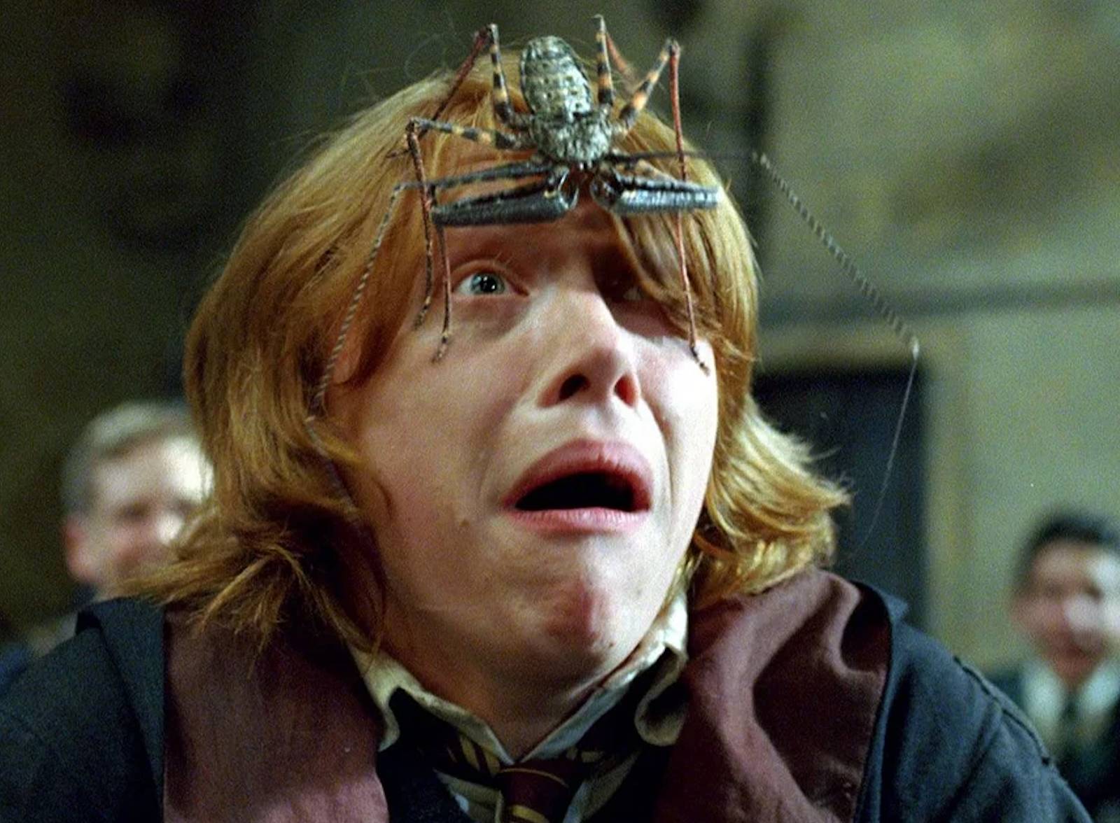 Filming Harry Potter Was a Suffocating Experience Says Star Rupert Grint, image size:1600x1176