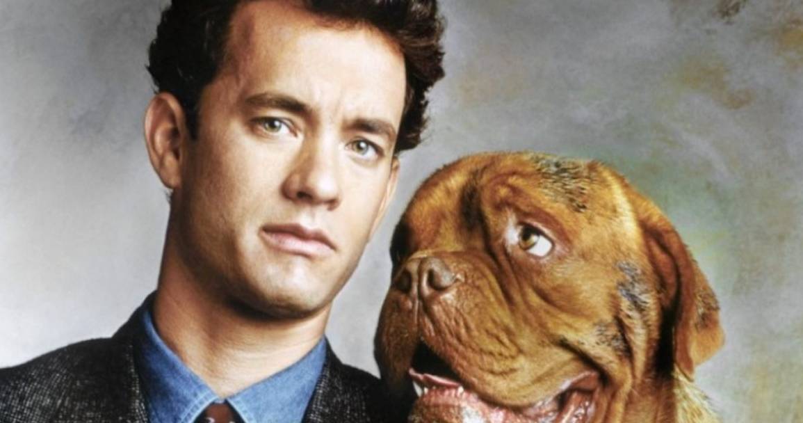 A Turner And Hooch Tv Show In Development At Disney