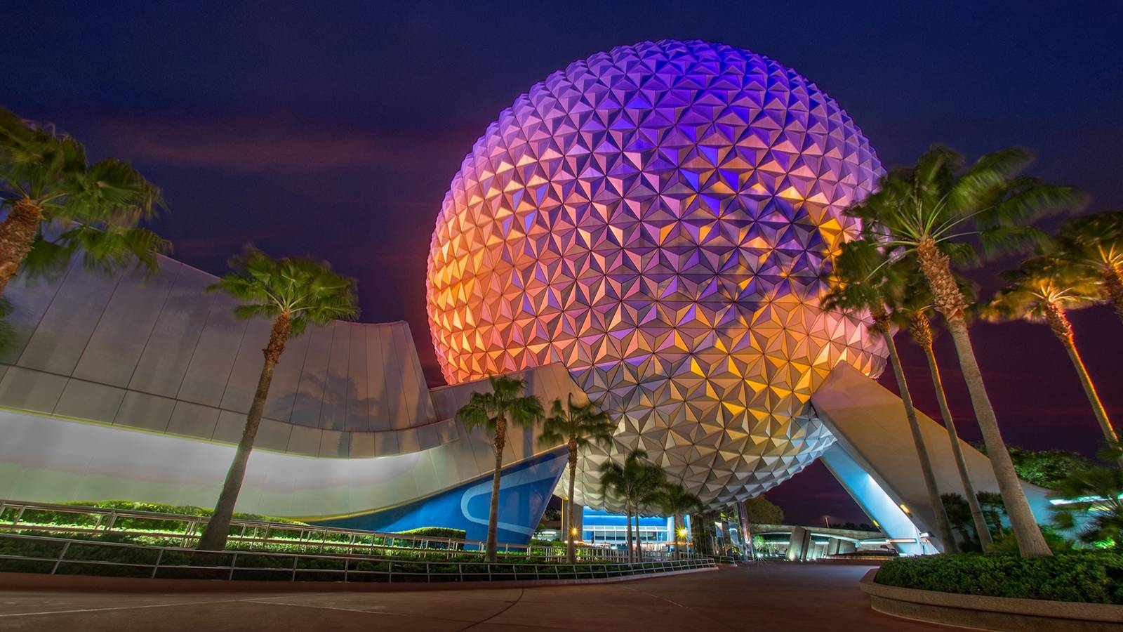 Disney Rabies Disney World Under Rabies Alert After Infected Cat Attacks Park Staff