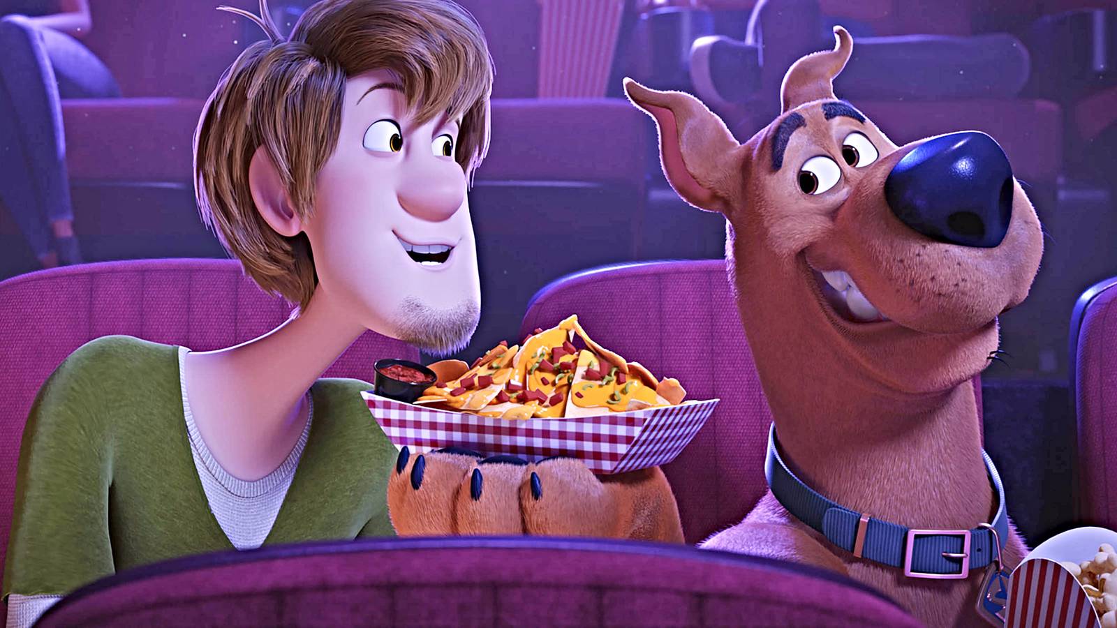 succulents that look like cactus Surprise Cactus & Succulent Variety Pack