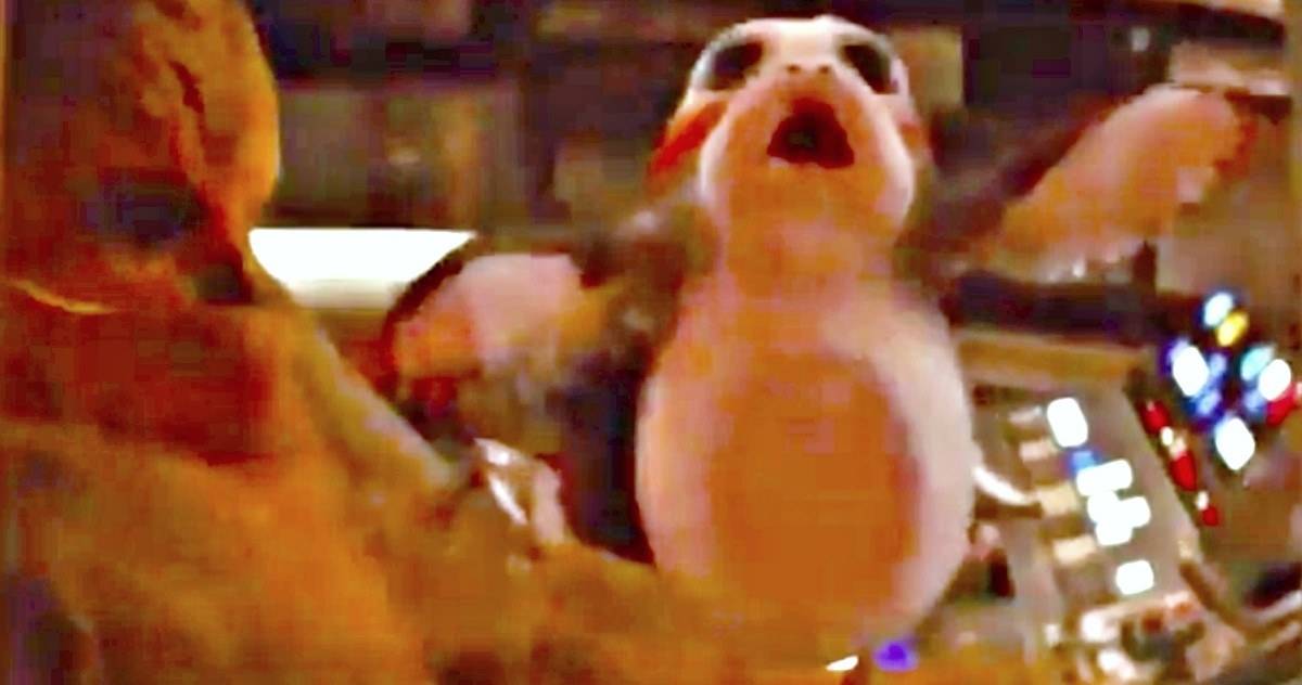 Porg Joke Doesn't Fly in Worrisome Last Jedi Footage