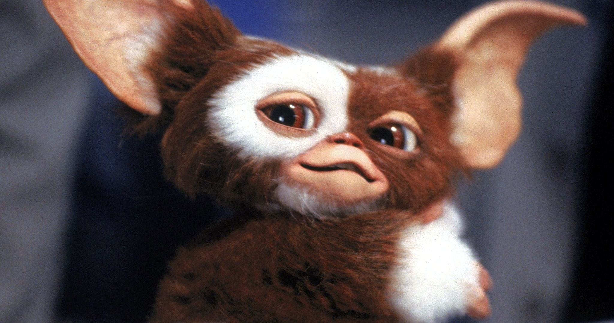GREMLIN グレムリン Why the Possibilities Are Limitless for Gremlins 3