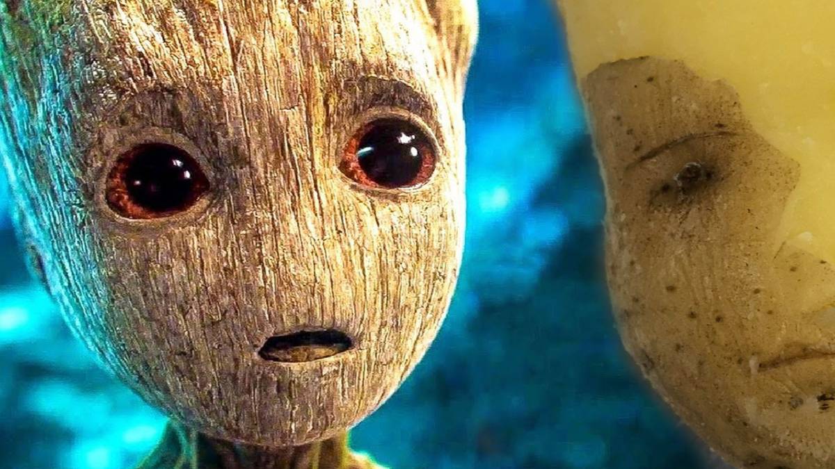#Groot Trends After Lookalike Potato Goes Viral Amongst Guardians of ...