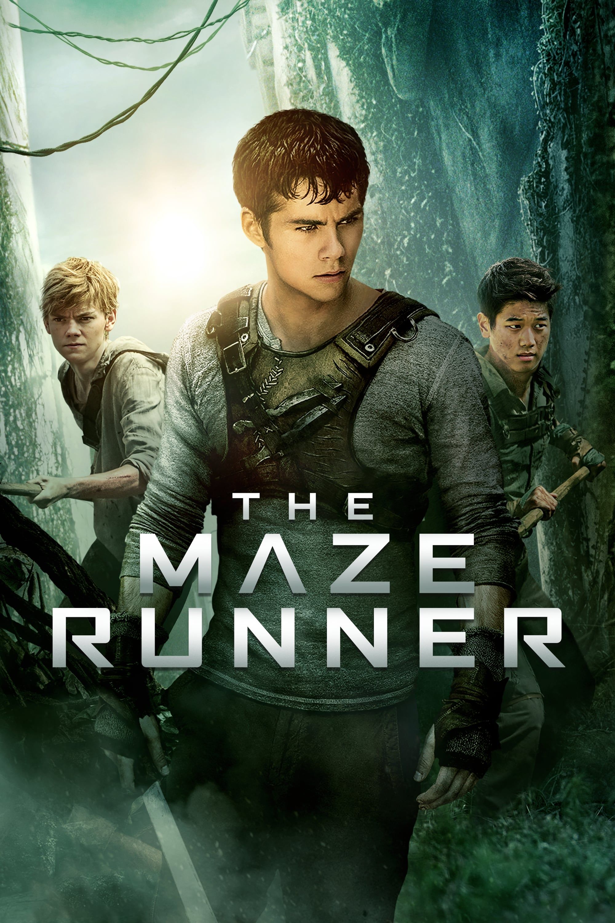 Film Review: The Maze Runner (2014) – Wildfire Movies