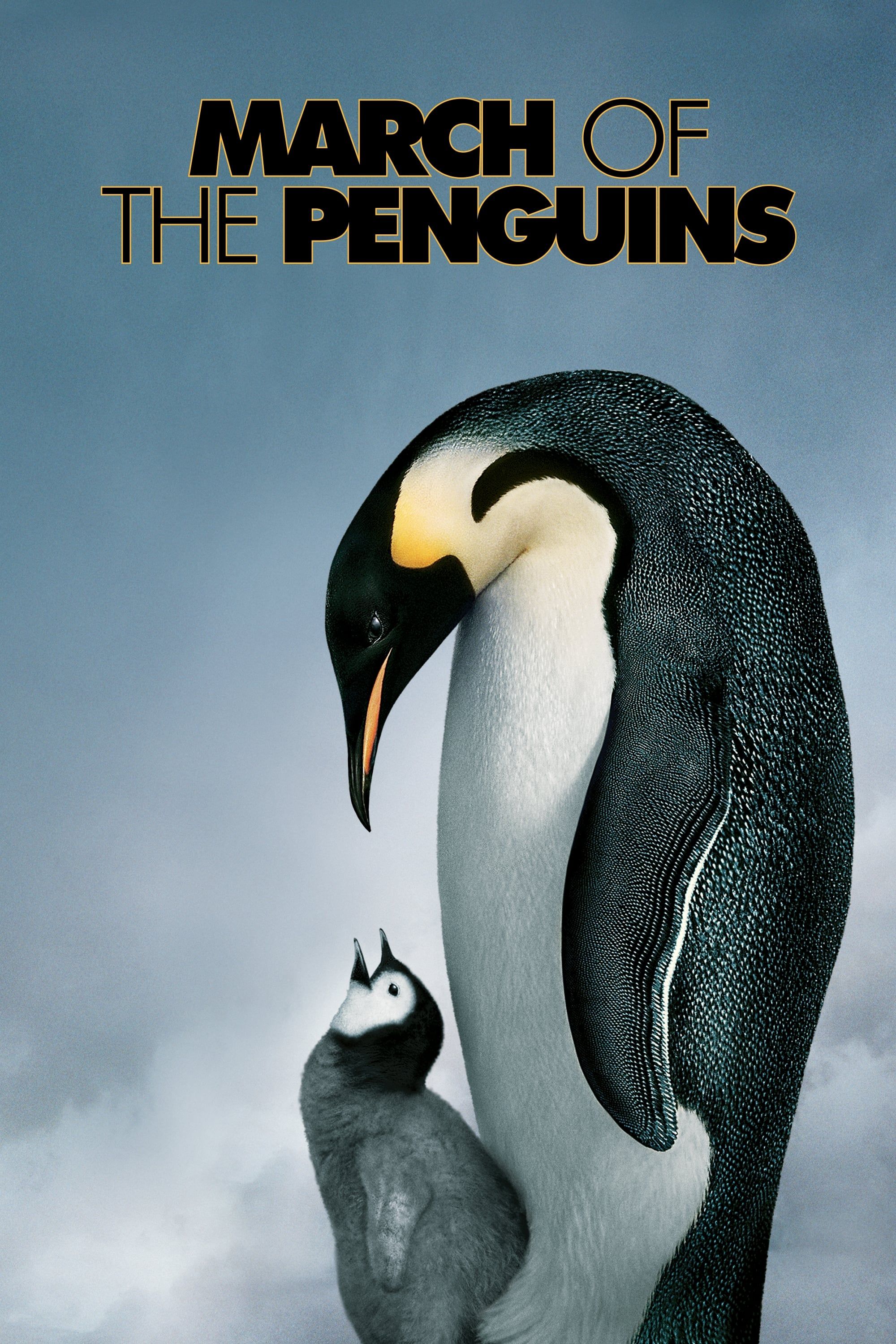 March of the Penguins (2005) | MovieWeb