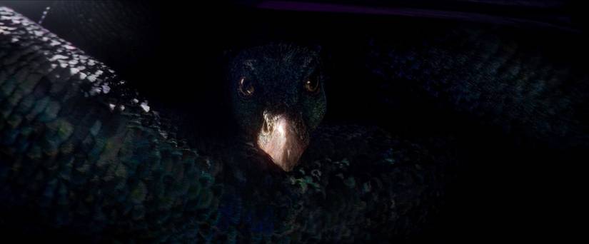 Meet the Fantastic Beasts in the First Harry Potter Spin-Off