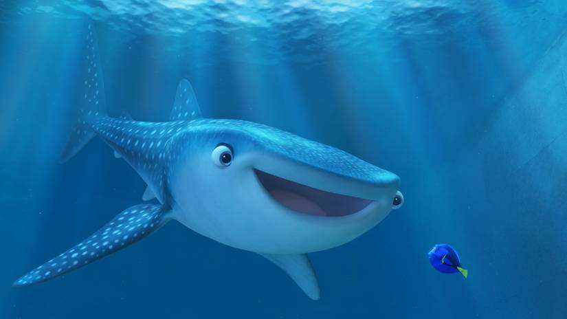 Meet the New Ocean Creatures in Pixar's Finding Dory