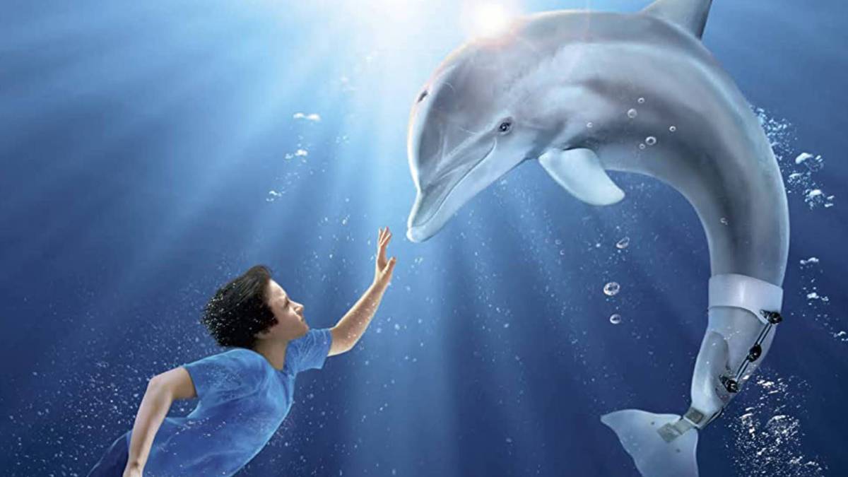 Dolphin Tale | MovieWeb