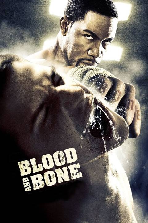 Action Packed Films 10 Most Action-Packed Martial Arts Movies
