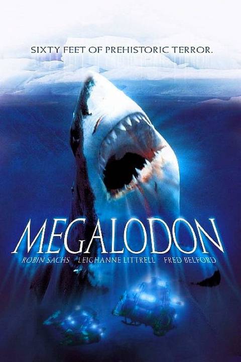 2004 Movies | MovieWeb