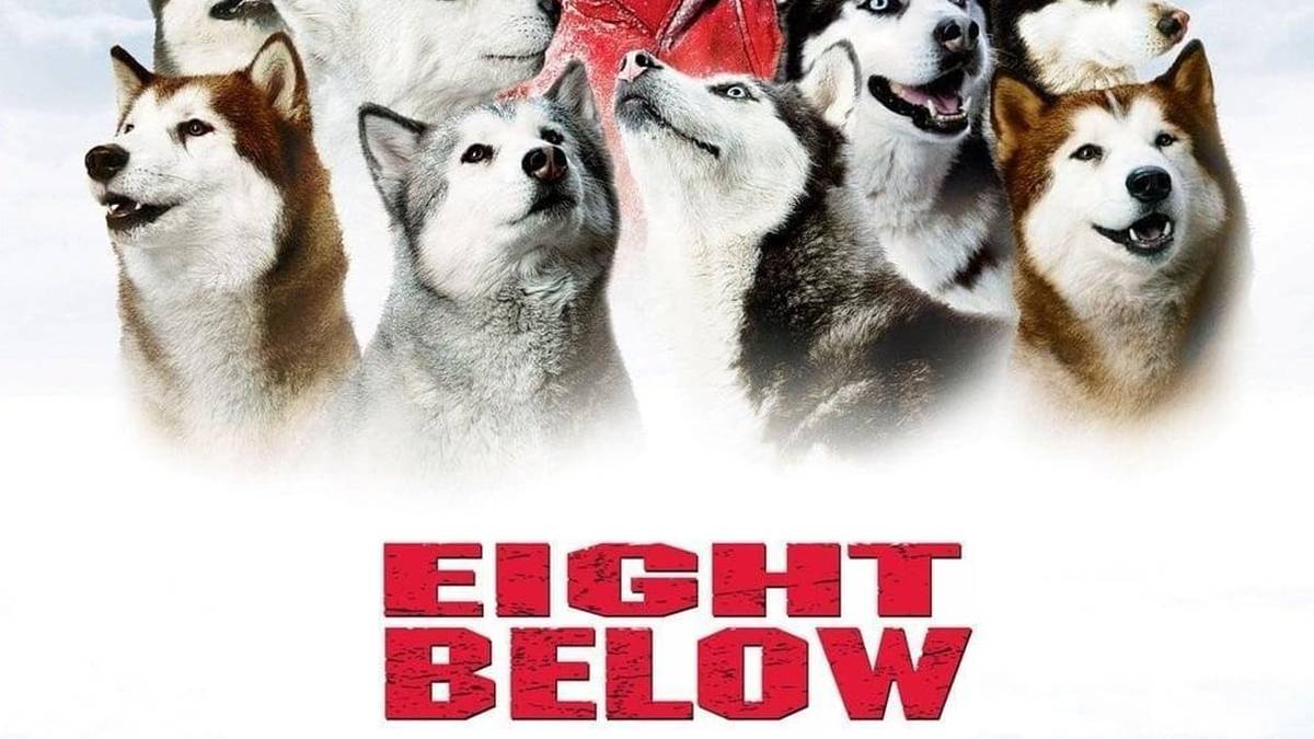 Eight Below | MovieWeb
