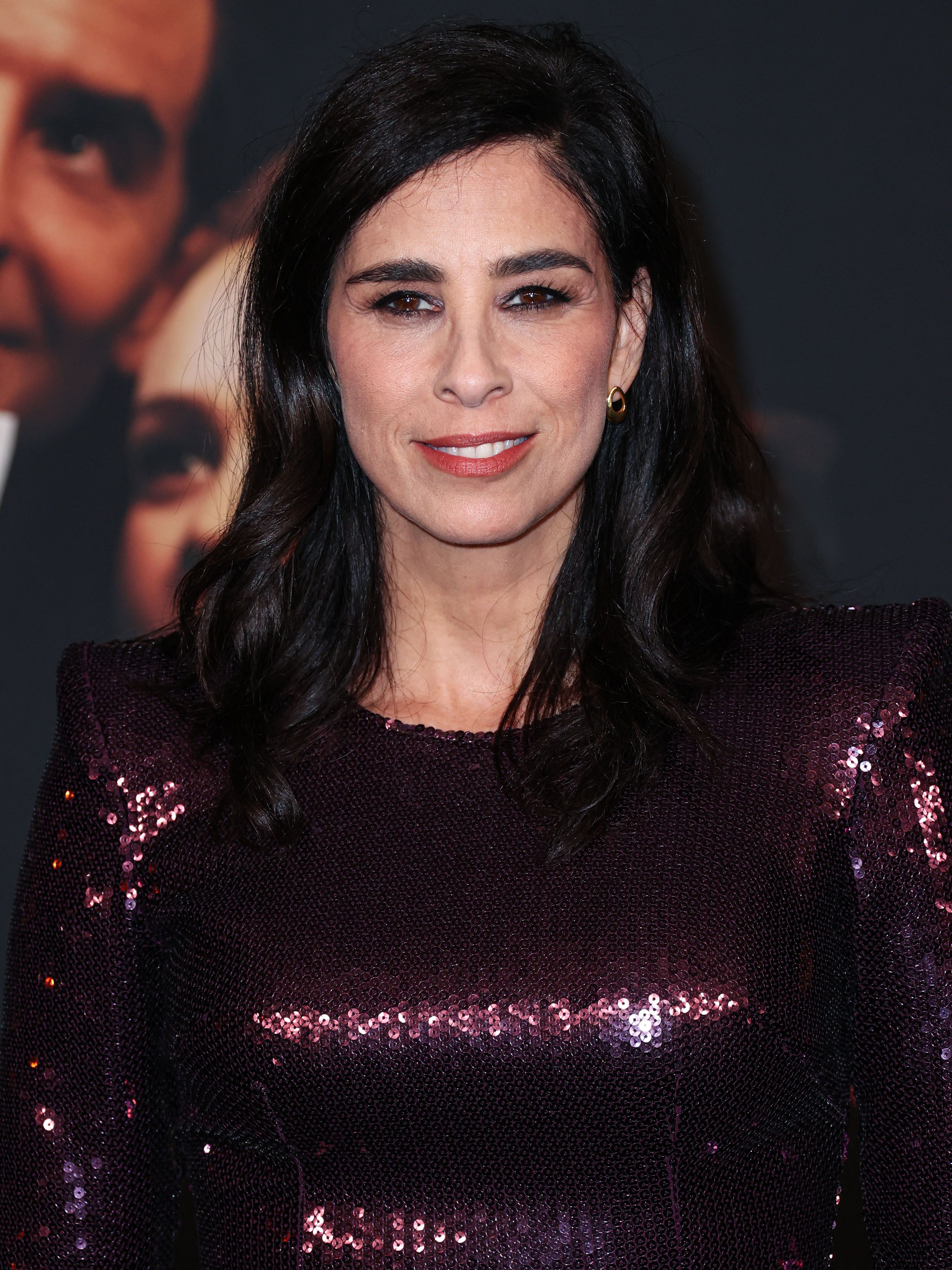 Sarah Silverman | MovieWeb, image size:3367x4489