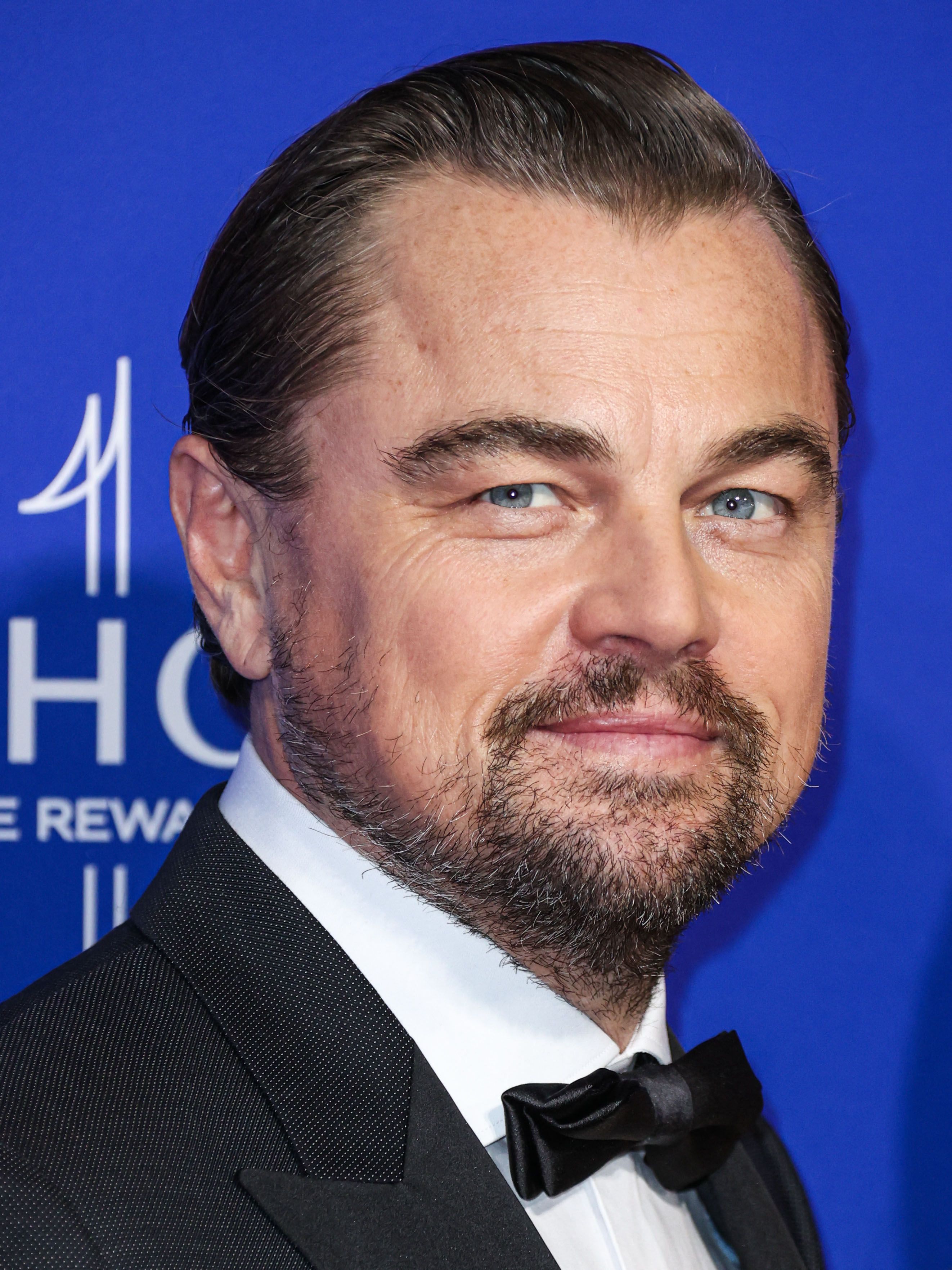 LEONARDO DiCAPRIO - US film actor in 2009 Stock Photo - Alamy, image size:2644x3526