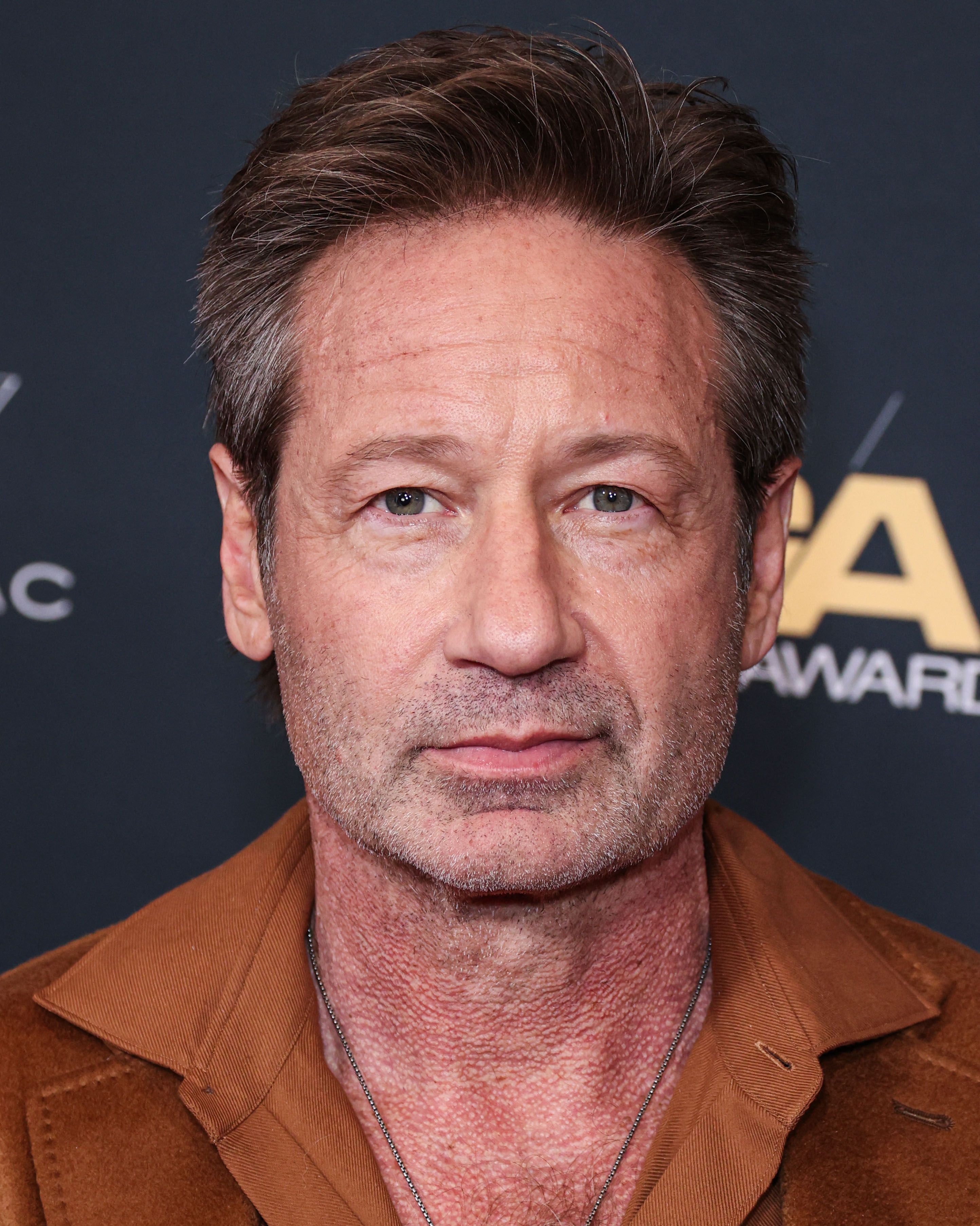 David Duchovny como Fox Mulder