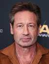 David Duchovny como Fox Mulder